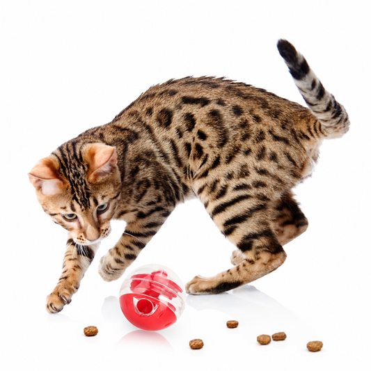 Cat Treat Ball